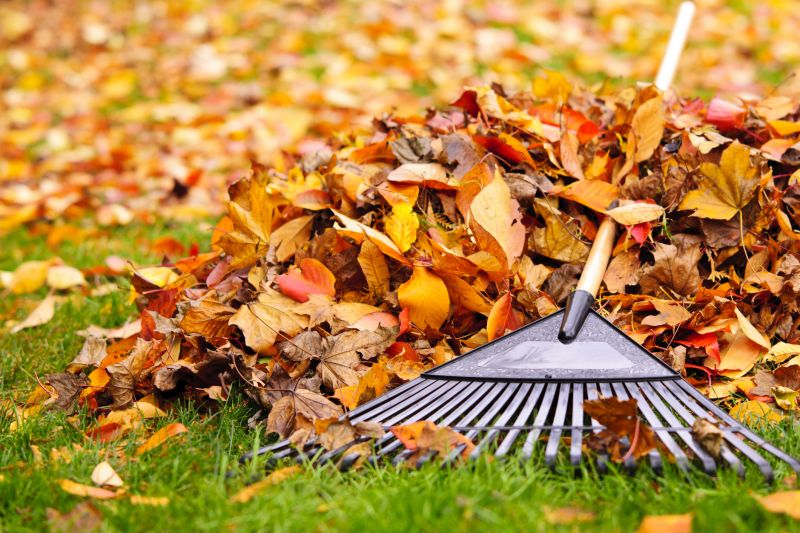 Autumn Yard Cleanup