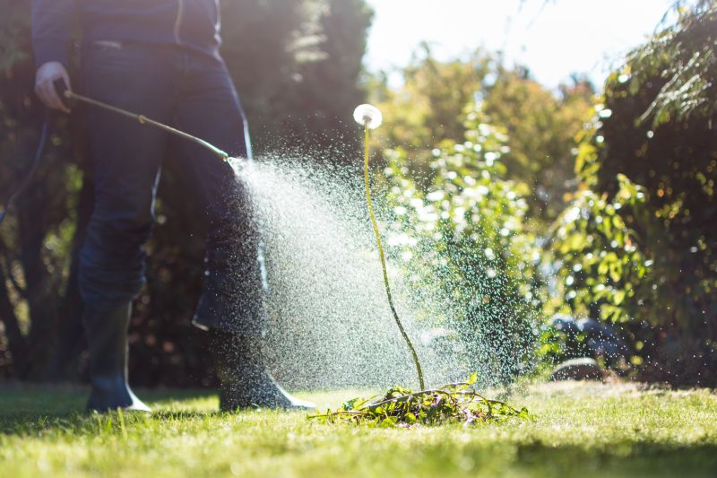 Flower Bed Weeding Services