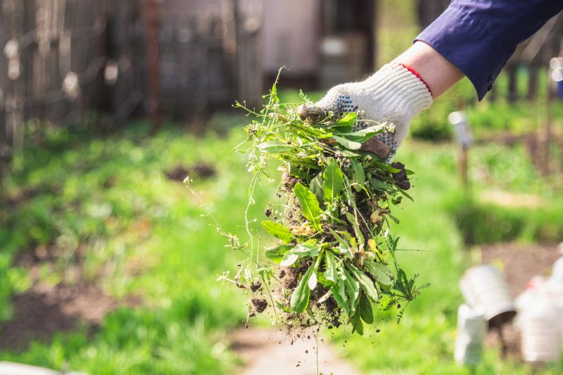 Flower Bed Weeding Specials