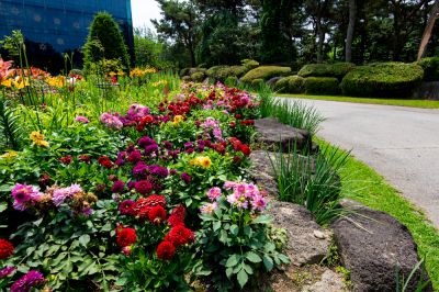Provide Optimal Conditions for Flowers to Thrive!